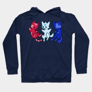 Fourth of July Cats Hoodie